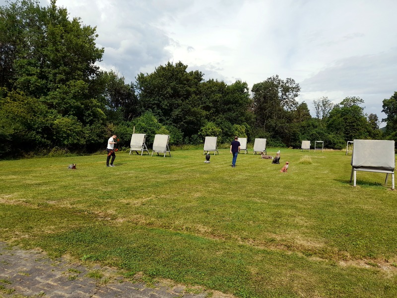 BSC-Deggingen Gallery